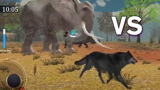 WOLF SIMULATOR - Wolf VS Elephant!- The Wild Wolf Life Simulator Gameplay Walkthrough (iOS, Android) screenshot 5