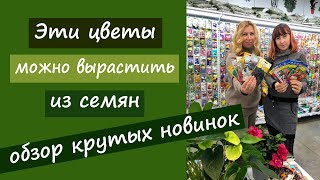 Эти цветы можно вырастить из семян. Обзор крутых новинок