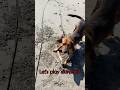 Life with music “Let’s play more!! Part2”