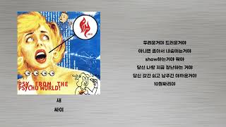새 - 싸이