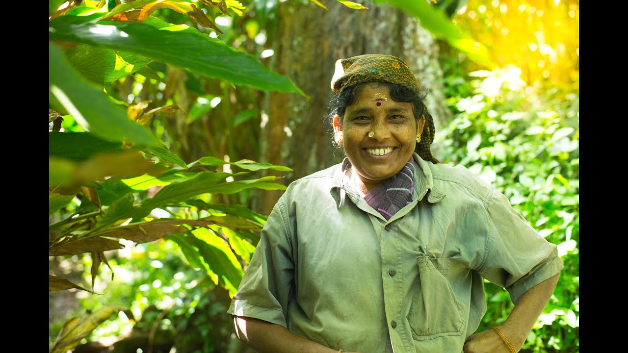 The Story of a Spice Farmer- Farmers Cargo Exporters