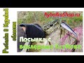 Обзор посылки с воблерами ТцуЙоки 2021 из Rybalkashop ru