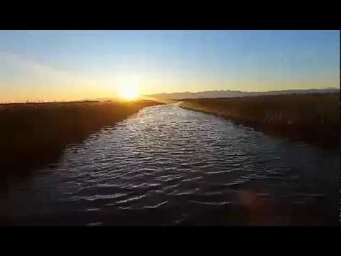 იხვზე ნადირობა ფოთში 2020 (hunting in georgia poti) охота на уток.  ixvze nadiroba potshi