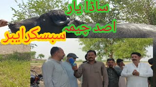 Watch subscribe ch Asad chema from Gujranwala in Punjab Pakistan on YouTube