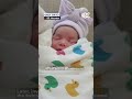 Great aunt of 6 week old twins found dead blames parents  news  houston onlyon13