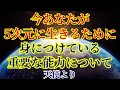 【5次元で生きる能力】あなたはこの能力を身につけています【天使より】