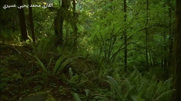 سورة الُاْعلُى صّوَتْ جْمٌيَلُ جْدِا لُلُقًارَى مٌحُمٌدِ يَحُيَى ْعسِيَرَيَ ٌخمٌيَسِ مٌشِيَطِ