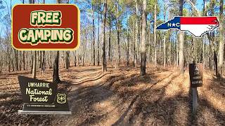 FREE CAMPING - East Morris Mountain Hunt Camp - Lovejoy North Carolina - Uwharrie National Forest