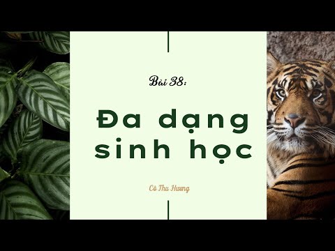Video Bài 38. Đa dạng sinh học (phần 1) - KHTN lớp 6 - Kết... - YouTube