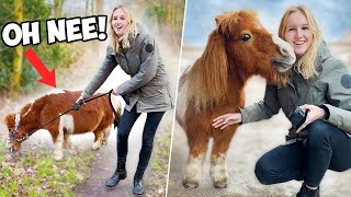 'DEZE PONY WIL IK MEE NAAR HUIS NEMEN!' ❤️ PONY CHAOS MET EQUITALITY! #108 | Daphne draaft door