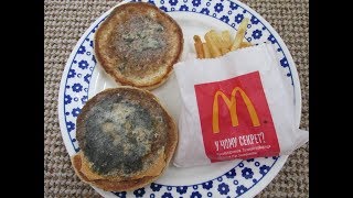 Год чизбургер и картошка фри из Макдоналдса пролежали на моей кухне