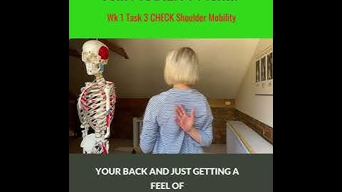 Can your Shoulder move 100% - Apley’s Scratch Test