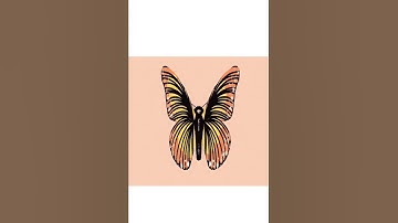 Easy animation #procreate #follow-tutorials #art #animation #butterfly #easy