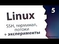 #5. Практика по терминалу / Linux