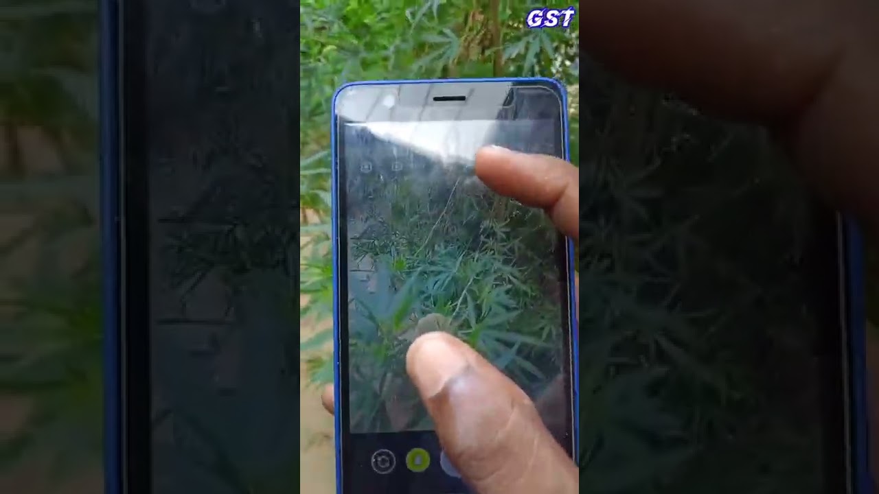 Jio Phone Next Camera Zoom Test 🔥 !! By @gaurav_smart_tech 