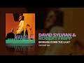 David Sylvian Robert Fripp Bringing Down The Light The First Day mp3