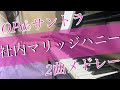 【弾いてみた】社内マリッジハニー（OP＆サントラ）