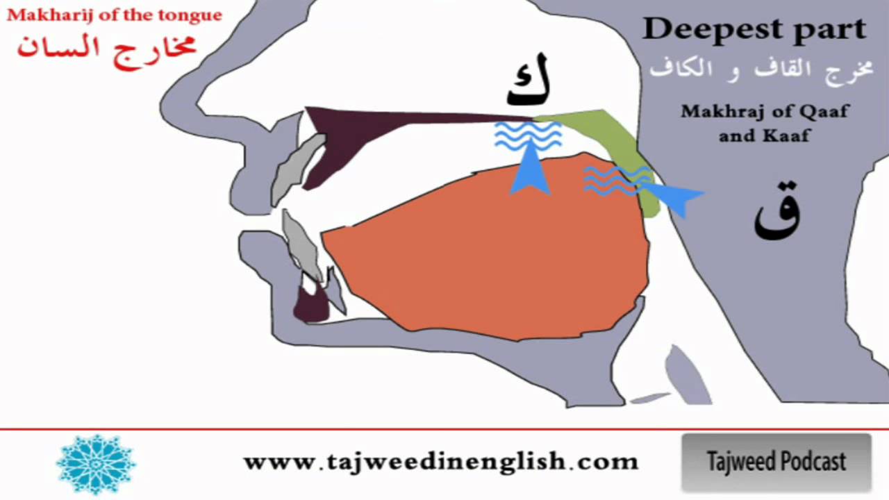 Makharij Chart