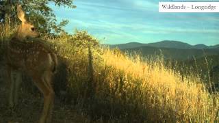 WWW Photo Highlights - October 2015 WWW Photo Highlights - October 2015