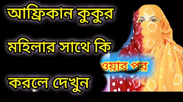 আফ্রিকান কুকুর মহিলাকে কি করলো  মহিলা আফ্রিকায় যাওয়ার পর কি ঘটলো women life story