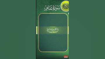 سورة غافر #علاء_عقل #القرآن_الكريم #المصحف