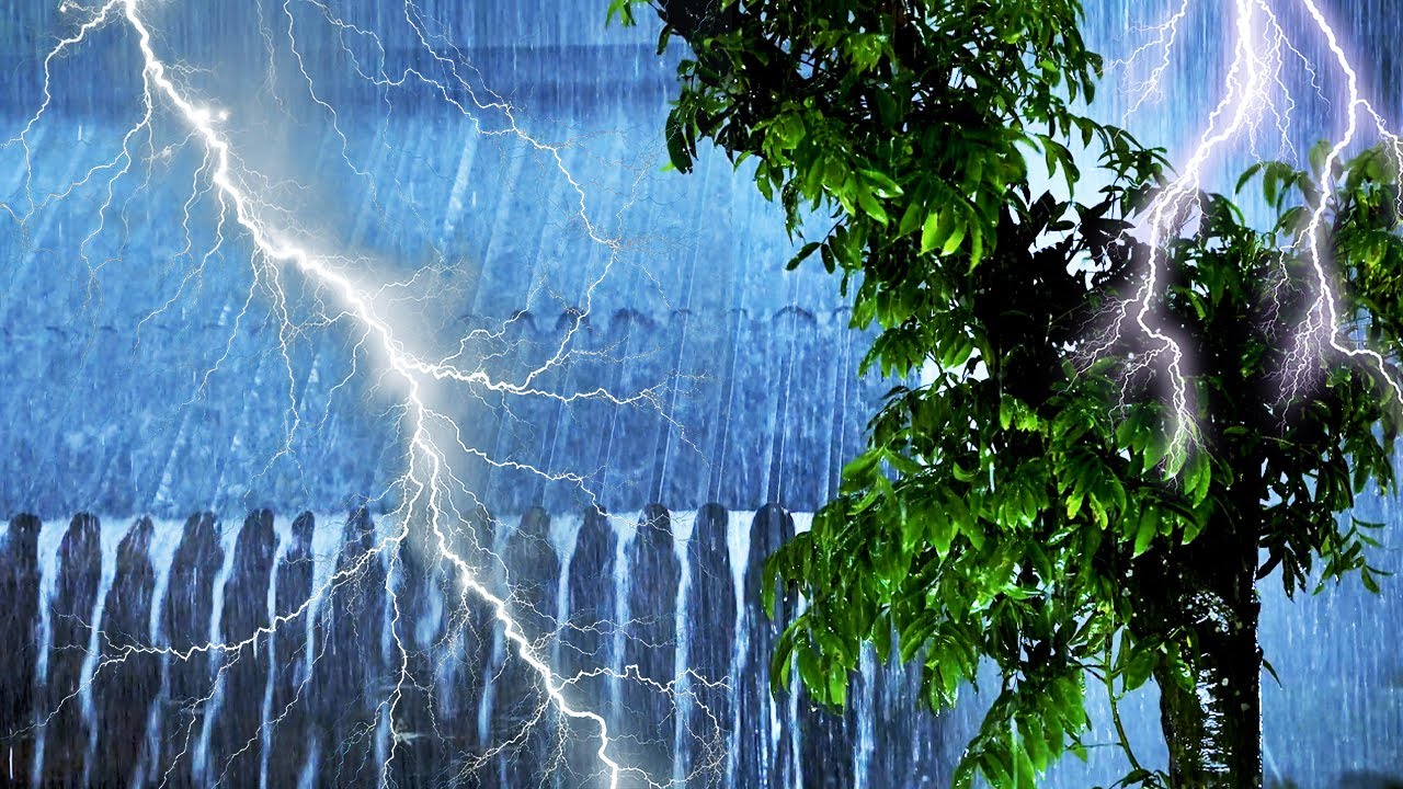 Relax with the sound of rain and thunder on the metal roof at night ...