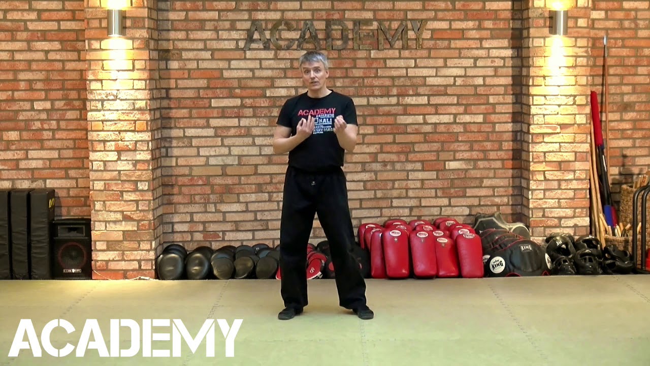 Selbstverteidigung - Theorie der Nothilfe