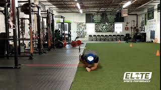 Plank with Band Pull Through