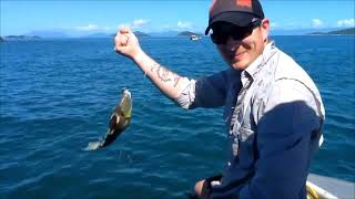 Island Camping in Far North Queensland with my son Phil out of the Quintrex Renegade 420