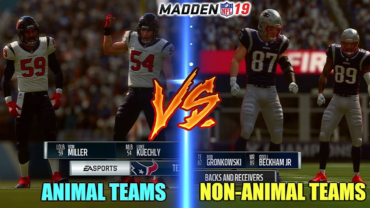 CAN THE BEST PLAYERS FROM ANIMAL TEAMS BEAT THE BEST PLAYERS FROM NON
