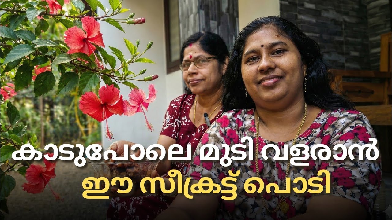 മുടി തഴച്ചുവളരാൻ കട്ടൻ ചായയും ചെമ്പരത്തിയും കൂടെ ഈ പൊടിയും ചേർക്കൂ