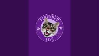 Flounder Cat is live!