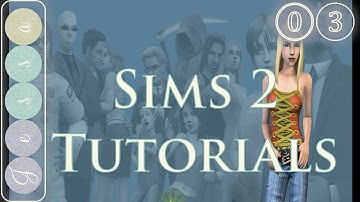 #⓪❸ The Sims 2 Tutorial Series 03, Tips and Tricks ~ Hood Creation Tutorial, Part One