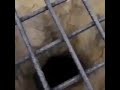 Dropping An IPhone X In A 4 000 Meter Deep Hole YOU LL NEVER GUESS WHAT HAPPENED 