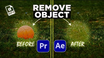 Remove Moving Object from Video | Adobe Premiere Pro Guide