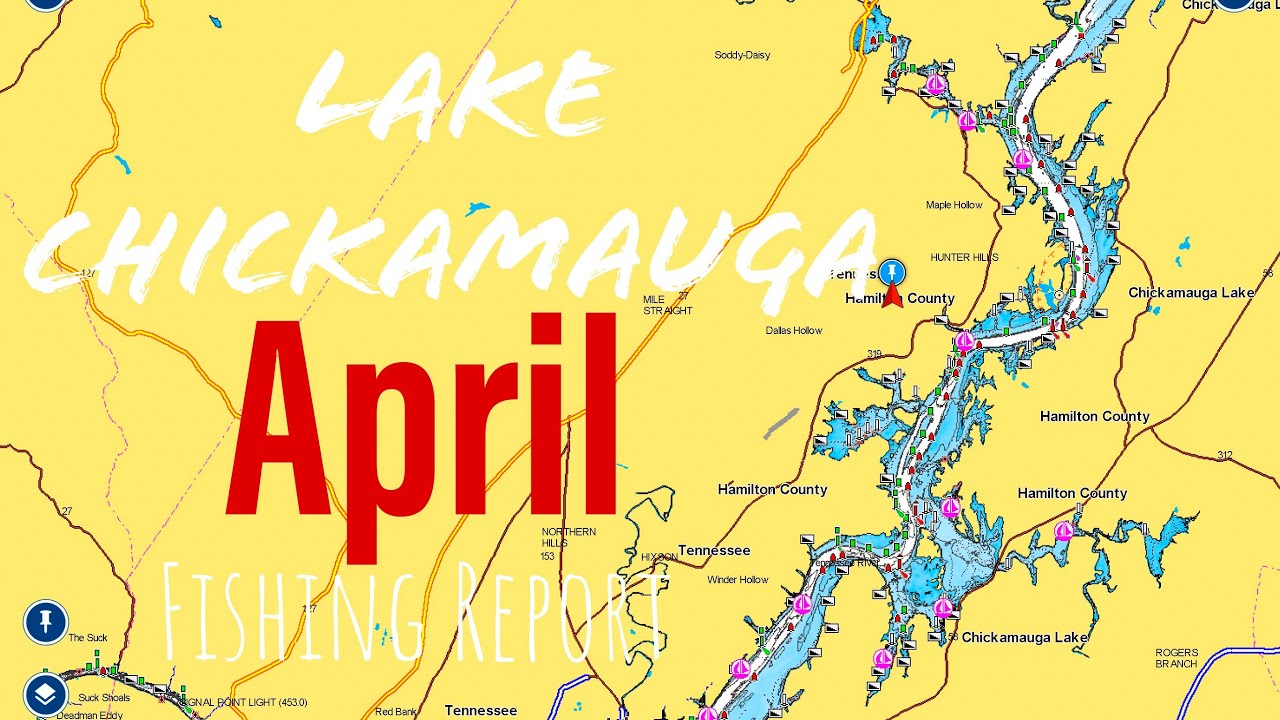 Lake chickamauga fishing report