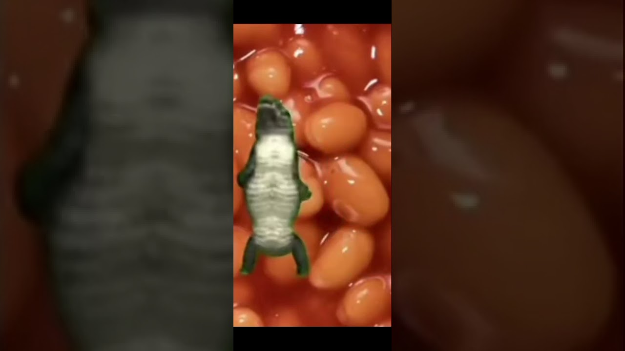 Happy birthday to you crocodile meme