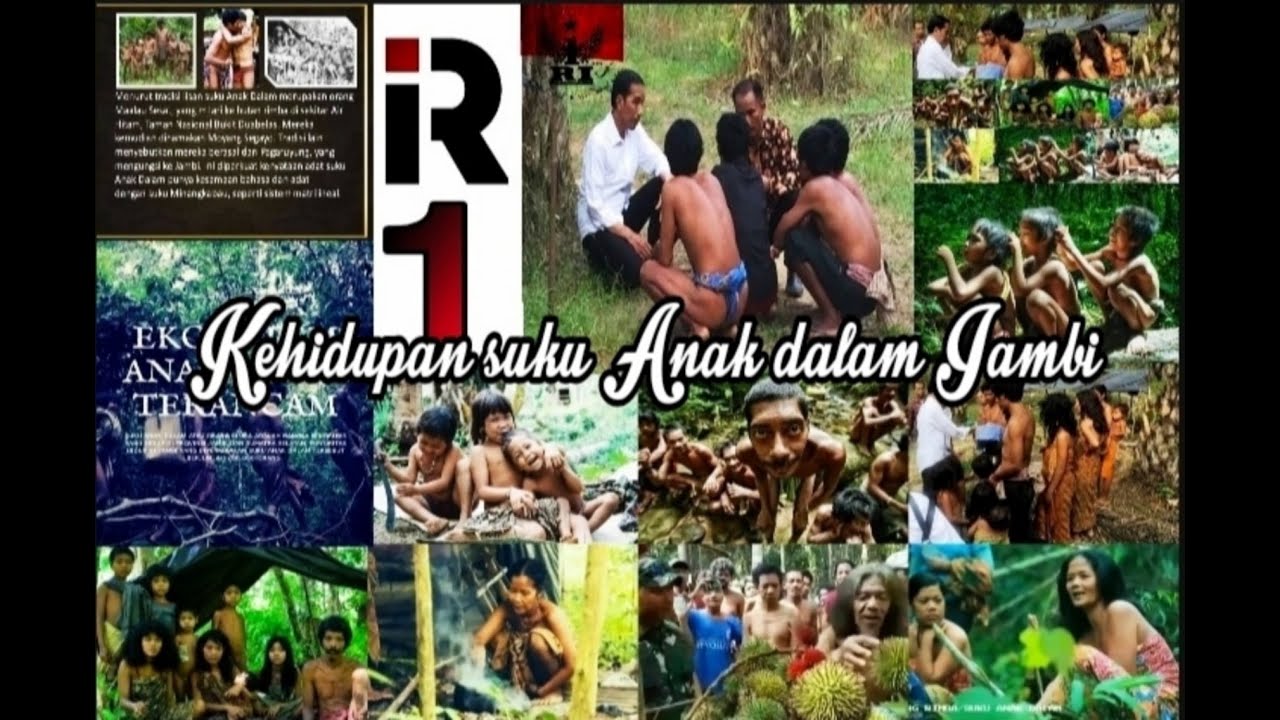 sejarah Suku Anak dalam Jambi Taman Nasional bukit 12