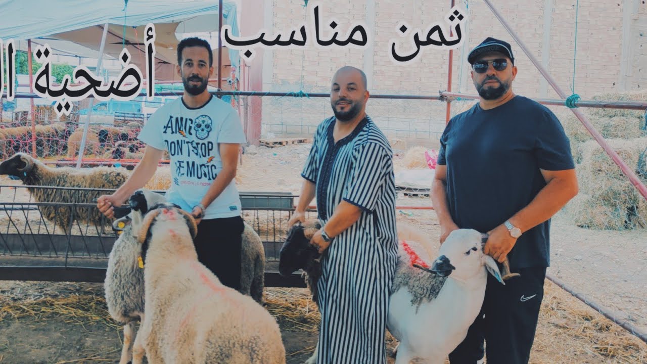 أثمنة #أضحية_العيد_الأضحى بمدينة إمزورن إقليم #الحسيمة بأثمنة مناسبة للجميع