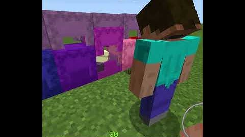 Minecraft Dyed Shulker
