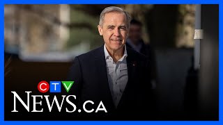 Liberal leadership candidates fighting Mark Carney for the spotlight as race narrows to five