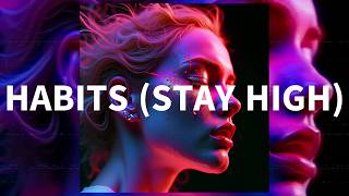 Tove Lo  Habits stay High jay P Schranz Techno Remix