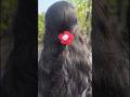 Day10 Woolen flower rubber band🌸🏵️#woolenflower #craftideas #shortvideo #diy