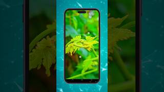 Best Camera App Better Than LMC & GCam 😍 #lmc8 #Gcam #gcam8 #technicalsmile #cameraapp #newgcam screenshot 1