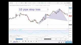 FOREX TRADING: STOP LOSS for ADVANCED/HARMONY Patterns