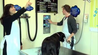 OUT AND ABOUT / DOWNTOWNER CAR WASH