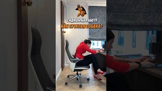❓СУТУЛИШЬСЯ НА РАБОТЕ❓тогда повторяй за мной 💕 #спина #здороваяспина #сутулость #упражнения #тренер