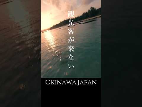 Let’s Enjoy FPV Life #fpv #djifpv #fpvcinematic