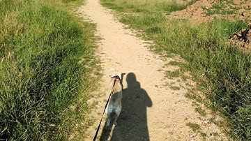 Xiaomi Pocophone f2 pro 4k video & Slow-motion