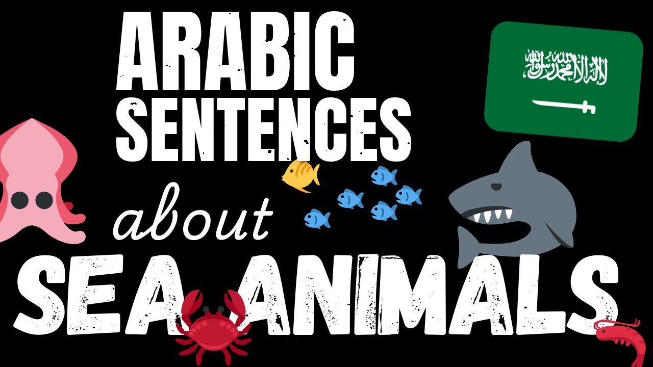 200 B1 Arabic sentences - Marine Animals | Learn Intermediate Arabic vocabulary